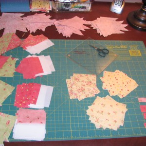 Cutting the blocks for the Sweetheart Quilt