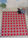 sao 2008 and the top of the Snowball Quilt - without borders