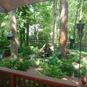 Marla\'s Backyard