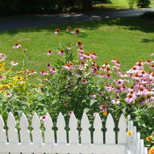 Marla\'s PICKET FENCE and flowers