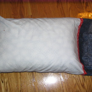 Max's Pillowcase