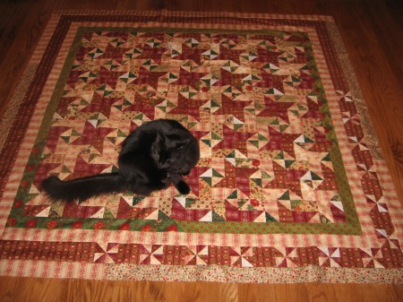 Midnight the Cat on the Star Struck Quilt top