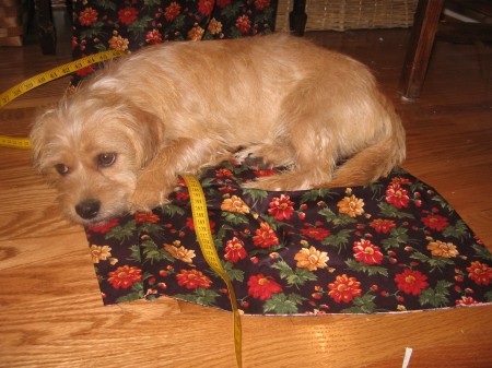 Ruby Helped with making the BACK of the quilt!!