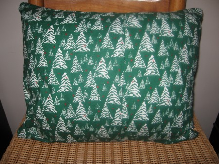 Back of my Christmas Star Pillow
