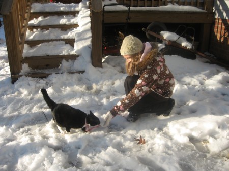 Oreo likes to EAT SNOW!!!