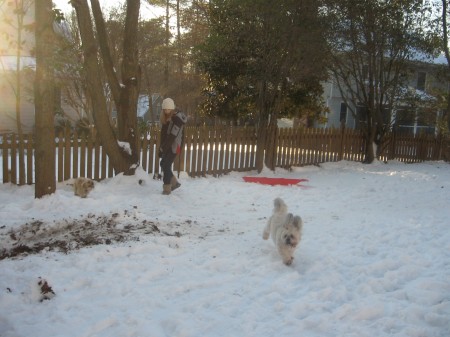 Pepper in the snow