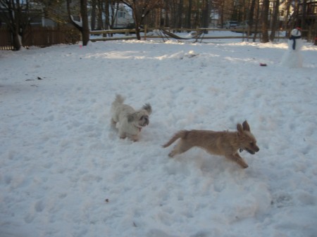 Ruby and Pepper 