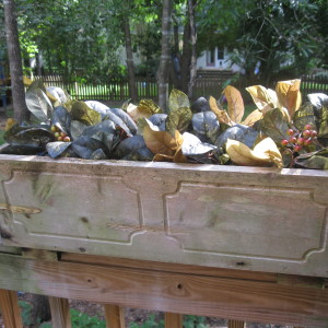 Flower boxes on the back patio