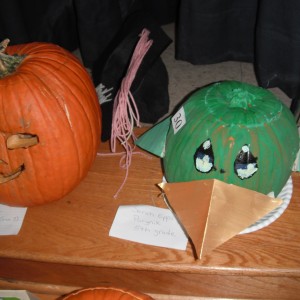 Sarah made the Parrot Pumpkin