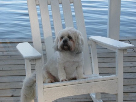 Pepper at the Brandermill Lake