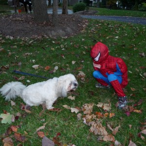 cooper-and-pepper cooper-and-pepper