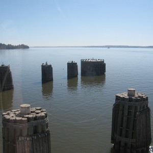 img_4194 img_4194