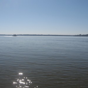 img_4198 img_4198