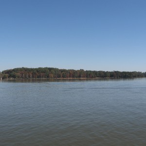 img_4199 img_4199