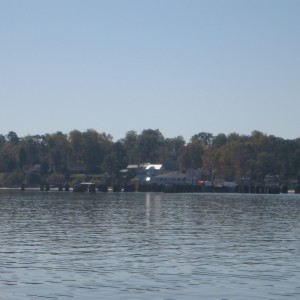 img_4202 img_4202