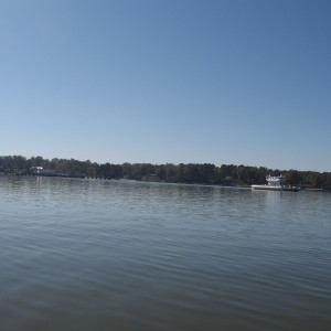 img_4203 img_4203