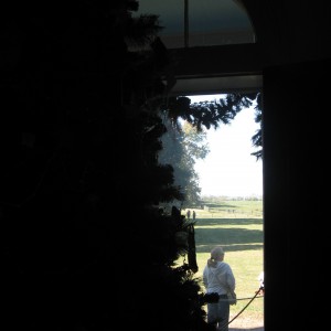 img_4220 img_4220