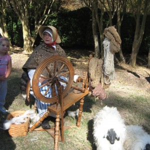 img_4238 img_4238