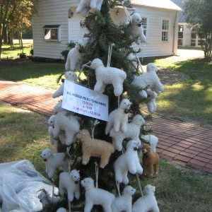 img_4244 img_4244