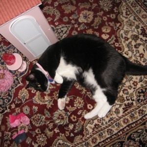 img_4693 Oreo