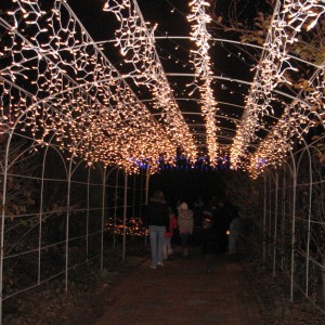 img_4852 The Arbors were lit up
