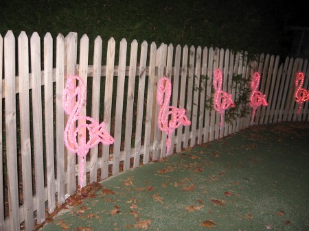 Flamigo Lights :):)