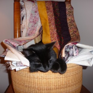 Cuddles asleep on the Sampler pieces!