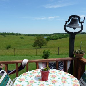 Janie\'s Backyard