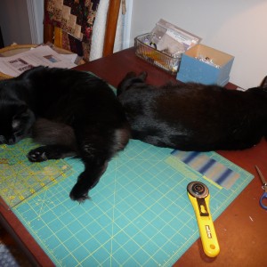 NAPTIME on my cutting table