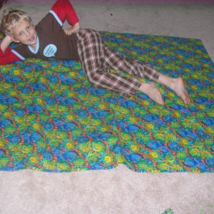 Back of Vincent\'s Dinosuar Quilt Party