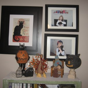 Sarah's Pumpkin Cat is at Home with our other CATS!